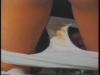 �g�p�ς݃p���e�B���������^�̃p���c�}�j�A�R���N�V�����@�Ԃ̐F