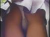 �p���c�}�j�A�R���N�V�����@���̐F 