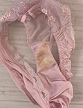 gpς݉̔X