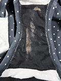 gpς݉̔X