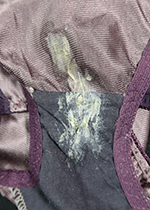 4ȏgpς݃peB[