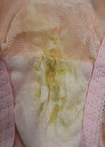 4ȏgpς݃peB[