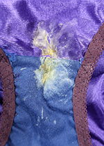 4ȏgpς݃peB[