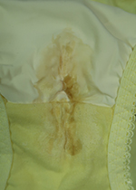 4ȏgpς݃peB[