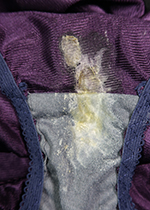 4ȏgpς݃peB[