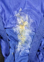 4ȏgpς݃peB[