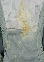 4ȏgpς݃peB[