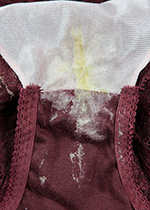 4ȏgpς݃peB[