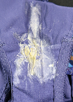 4ȏgpς݃peB[